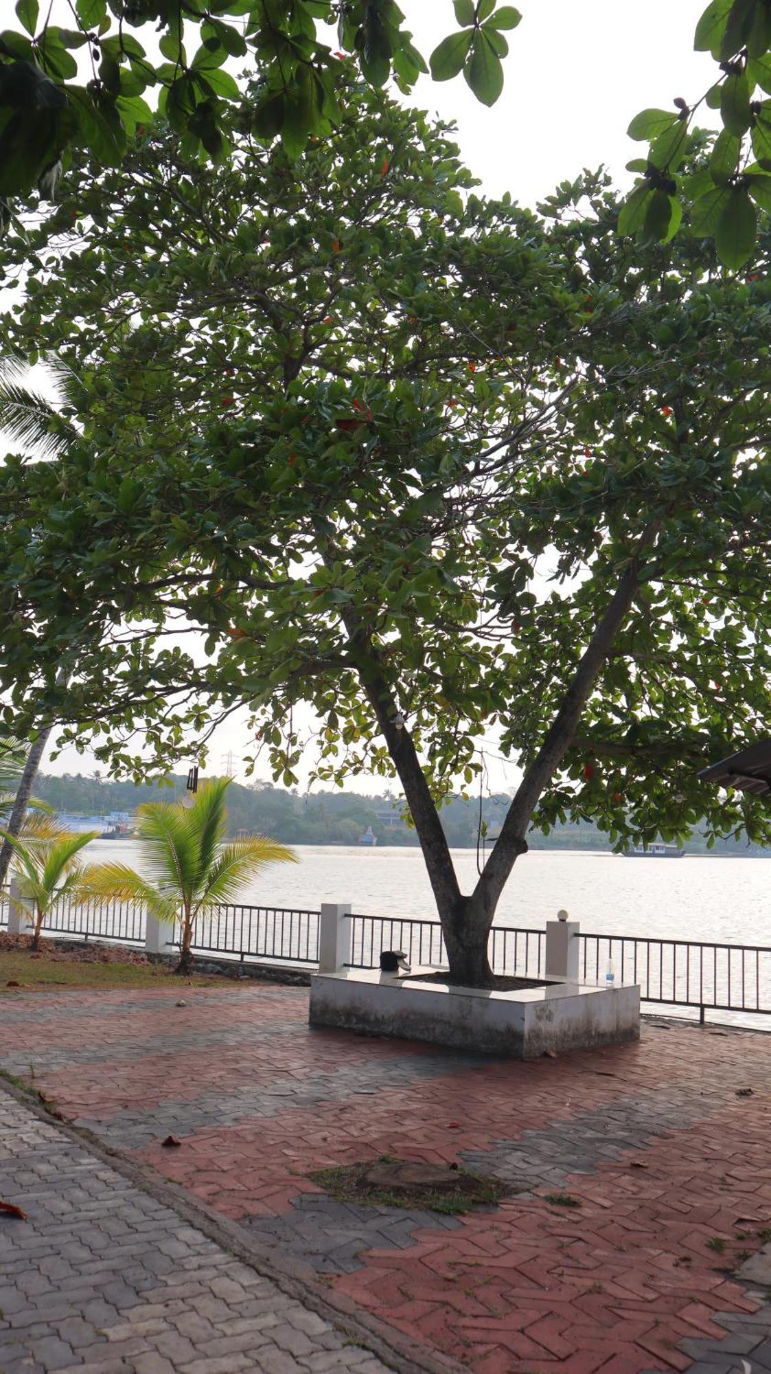 Ripples Service Villas Kollam Bagian luar foto