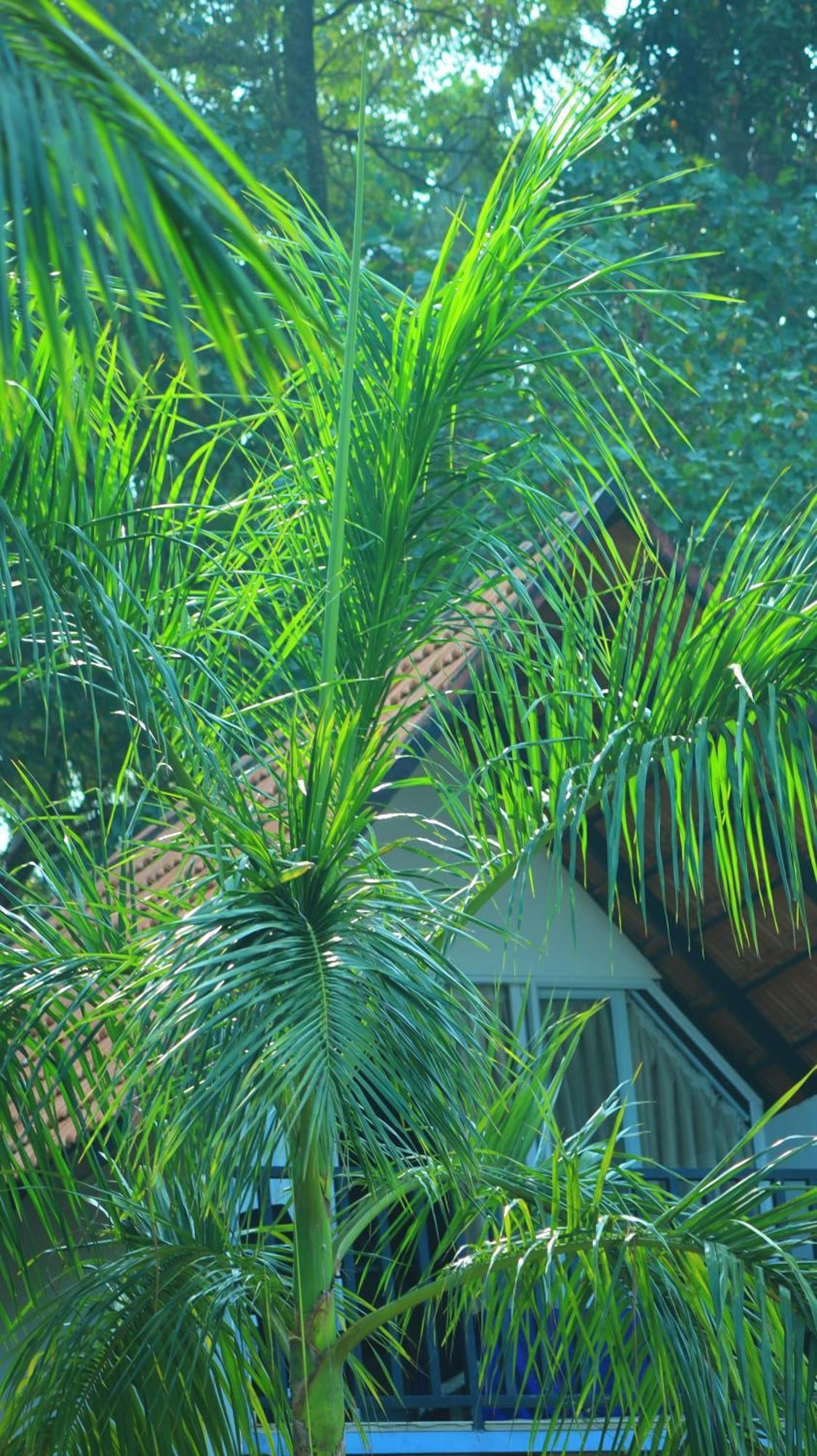 Ripples Service Villas Kollam Bagian luar foto